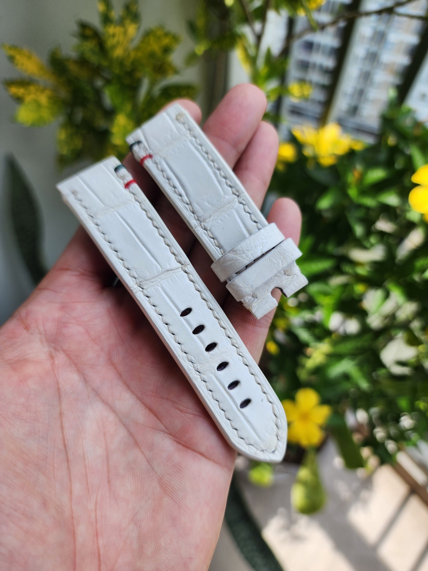 Size 22/20MM White Genuine Crocodile Leather Skin Watch strap band