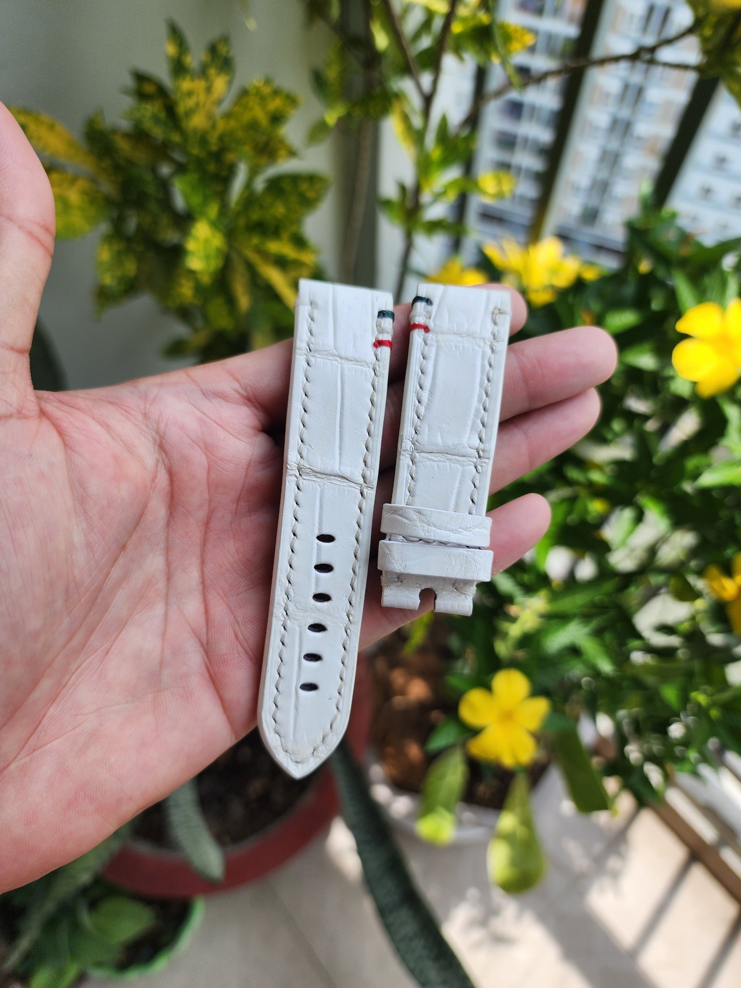 Size 22/20MM White Genuine Crocodile Leather Skin Watch strap band