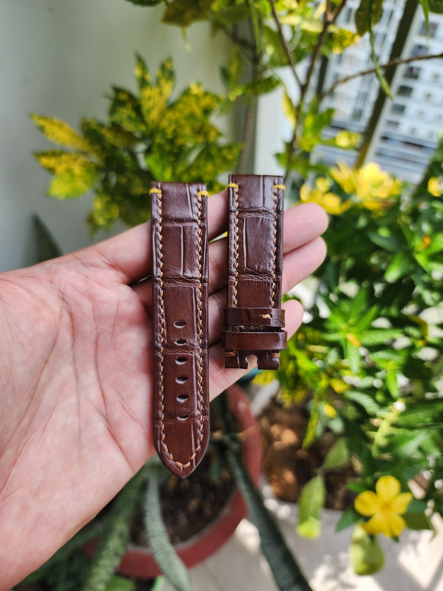 Size 22/20MM Brown Genuine Crocodile Leather Skin Watch strap band
