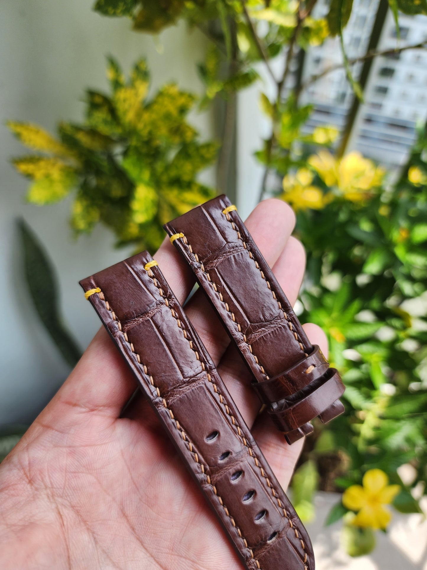 Size 22/20MM Brown Genuine Crocodile Leather Skin Watch strap band