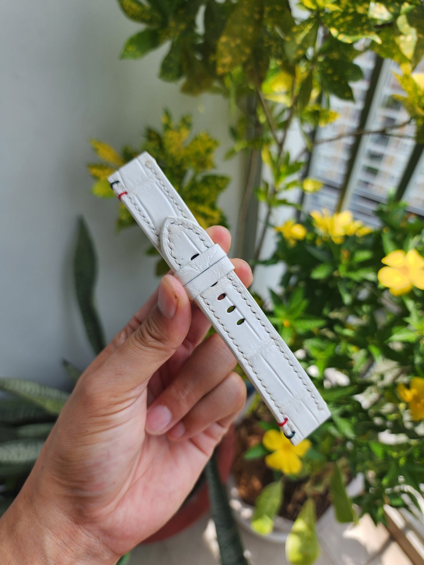 Size 22/20MM White Genuine Crocodile Leather Skin Watch strap band