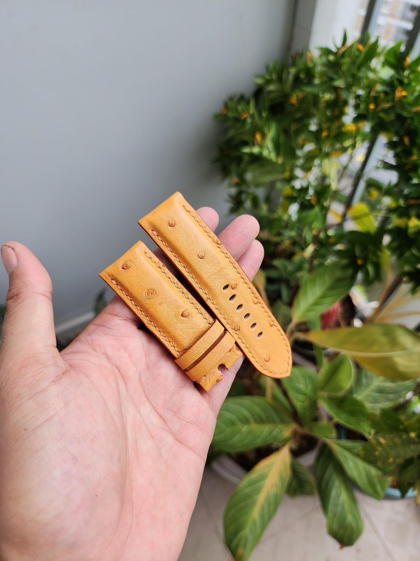 Tan Brown Genuine Exotic Body Ostrich Leather Skin Watch strap band