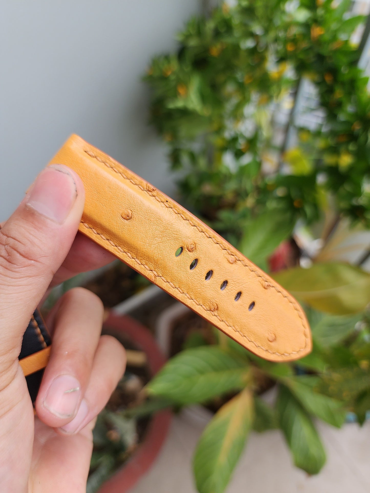 Tan Brown Genuine Exotic Body Ostrich Leather Skin Watch strap band