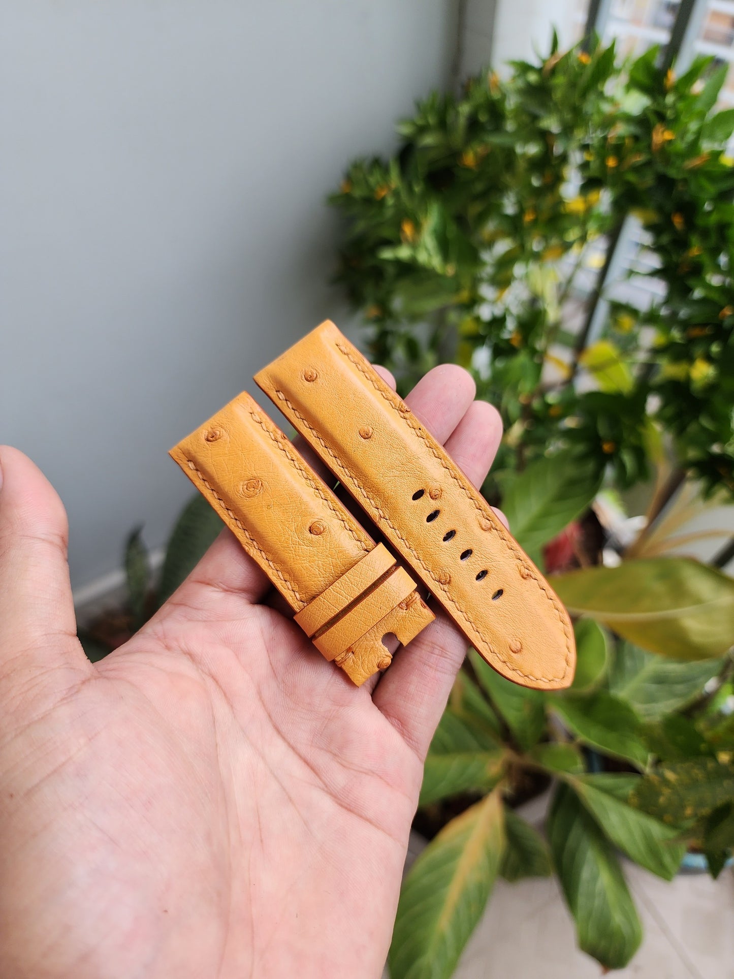 Tan Brown Genuine Exotic Body Ostrich Leather Skin Watch strap band