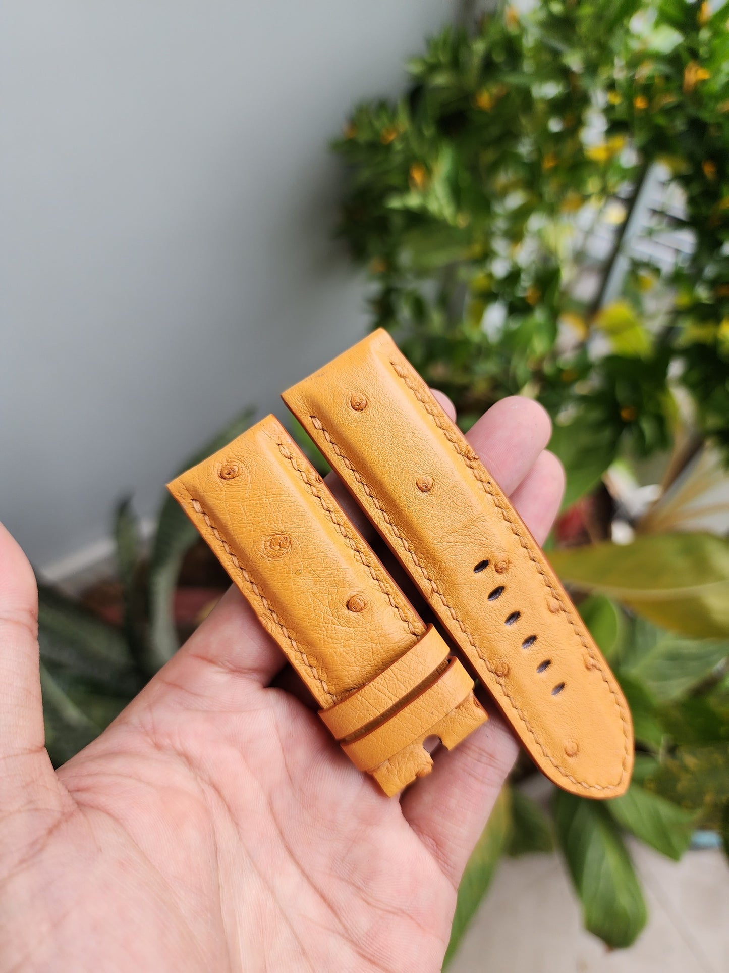 Tan Brown Genuine Exotic Body Ostrich Leather Skin Watch strap band