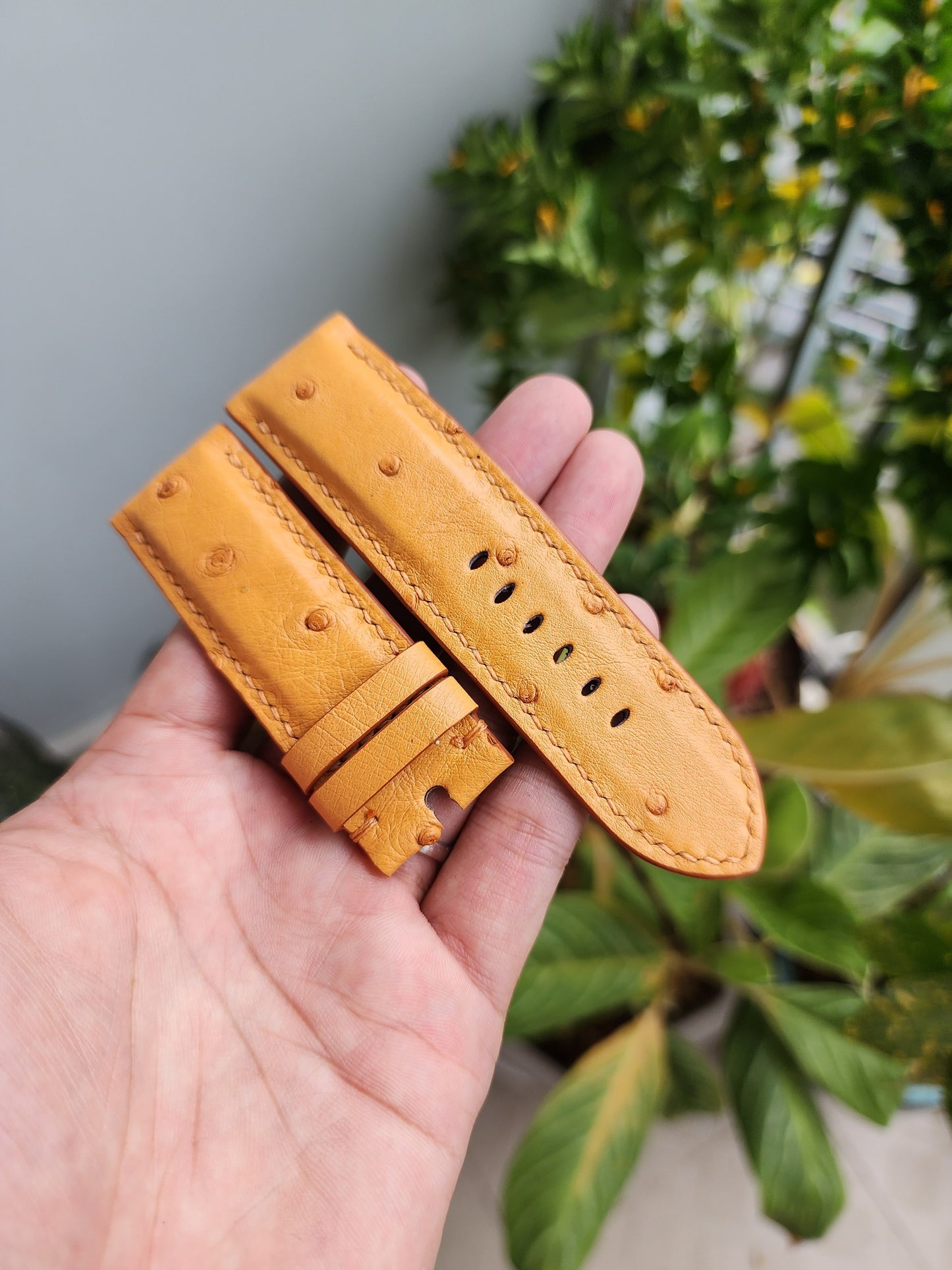 Tan Brown Genuine Exotic Body Ostrich Leather Skin Watch strap band