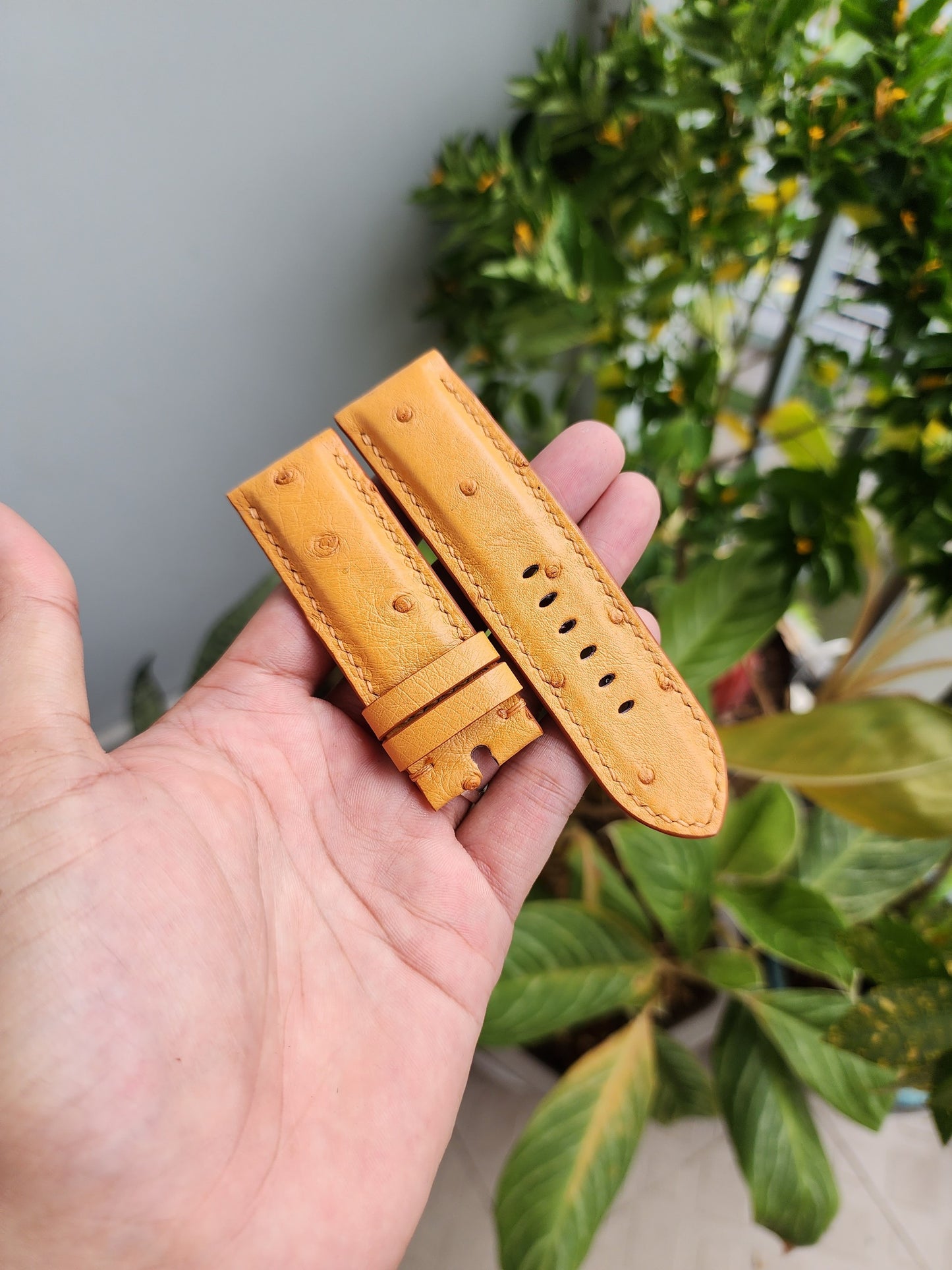 Tan Brown Genuine Exotic Body Ostrich Leather Skin Watch strap band