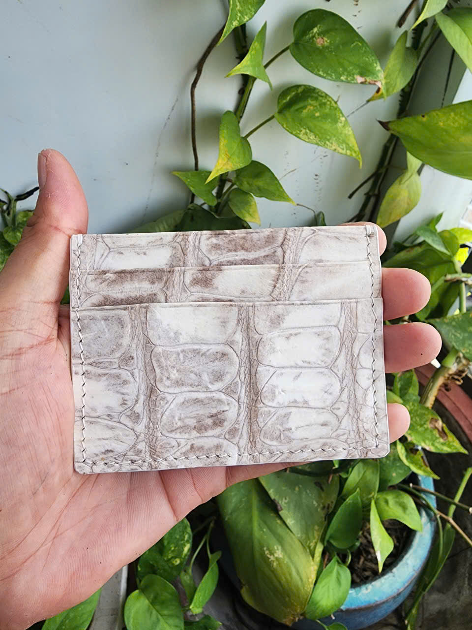 Himalaya Handmade Genuine Exotic Crocodile Leather Skin Card Holder