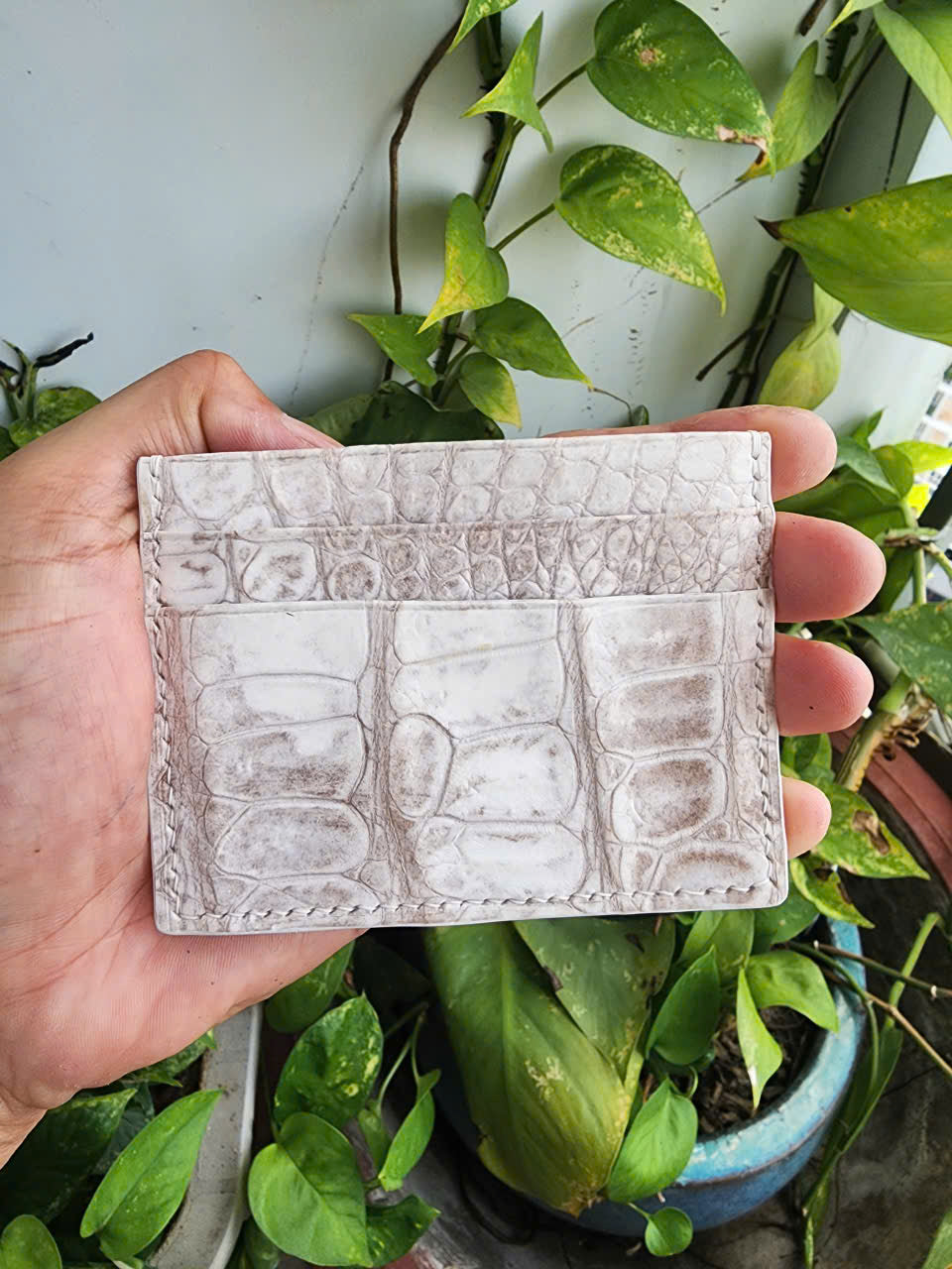 Himalaya Handmade Genuine Exotic Crocodile Leather Skin Card Holder