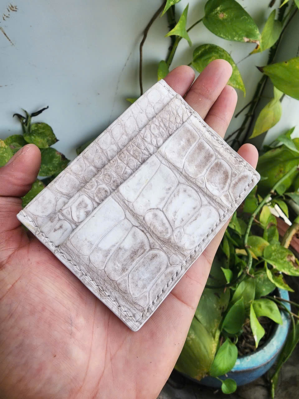 Himalaya Handmade Genuine Exotic Crocodile Leather Skin Card Holder