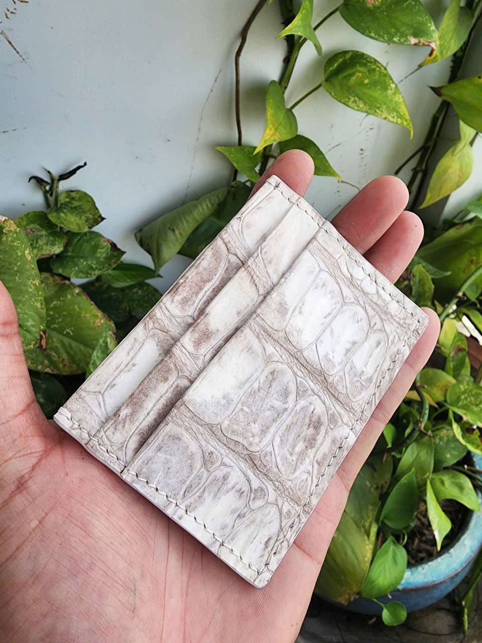 Himalaya Handmade Genuine Exotic Crocodile Leather Skin Card Holder